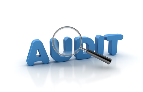 Audit and diagnosis of HR function