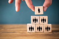 Organizational structure and human resources planning